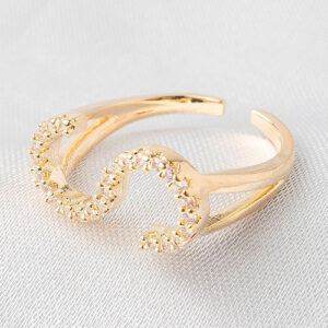 Anel inicial cravejado