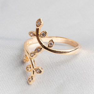 Anel ramos com zircônia