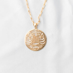 Colar com medalha de tigre